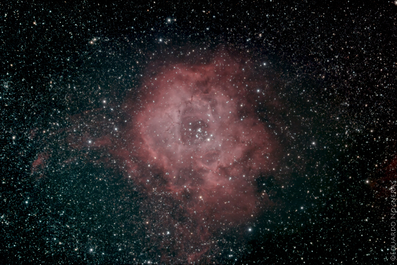 La nebulosa Roseta