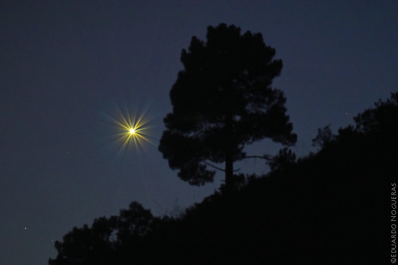 Venus a simple&nbsp;vista