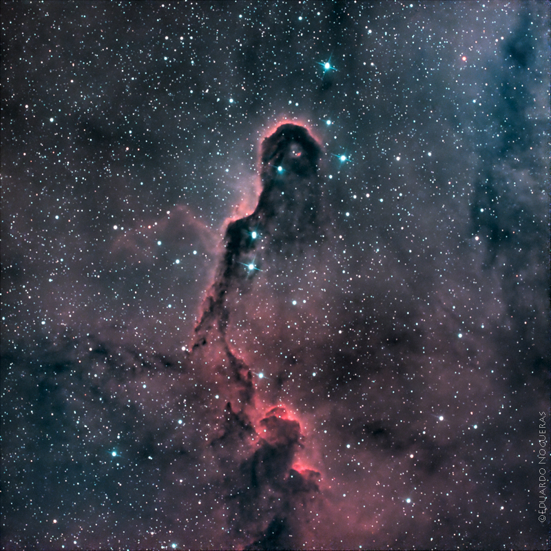 Nebulosa Trompa de&nbsp;elefante